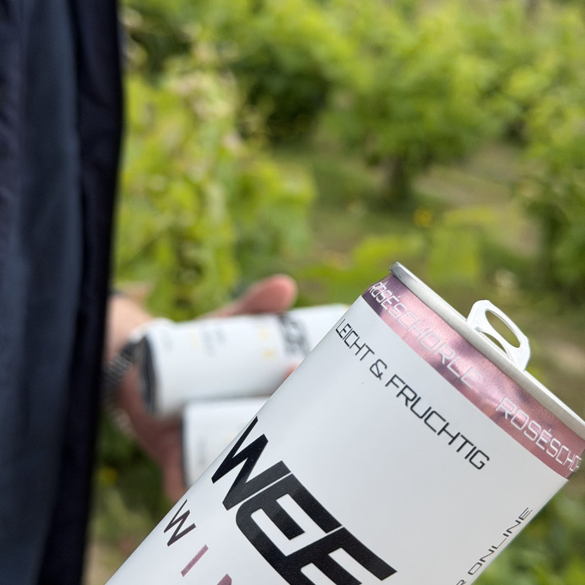 WEE MIX – Probierpaket | 12-Pack (4x Rosé, 4x Weiß, 4x Secco)